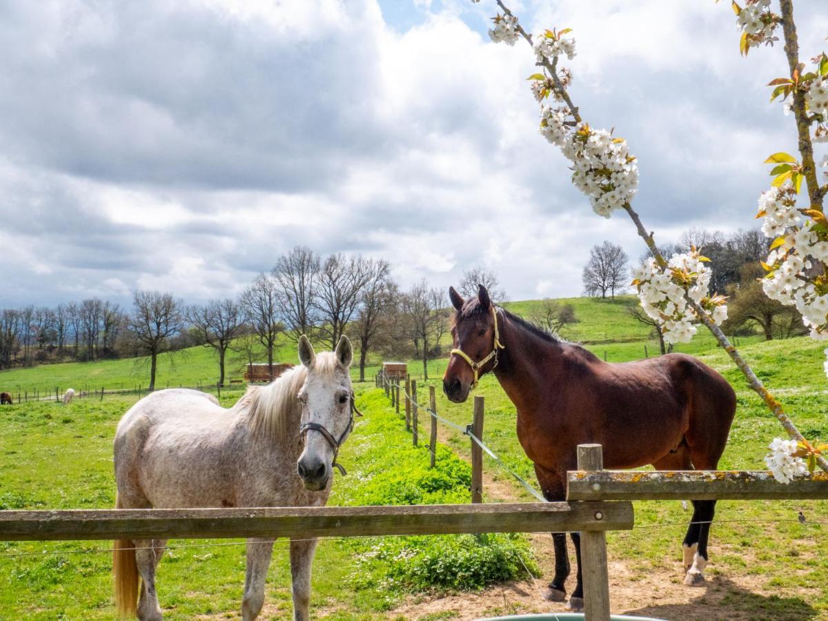 Gites Et Roulottes Au Domaine De La Trille Sainte-Foi Exteriör bild