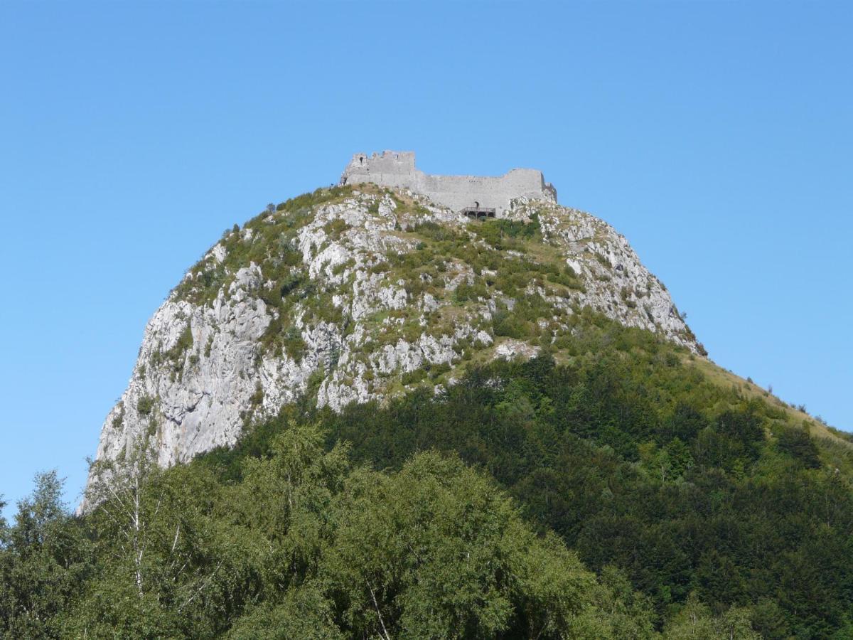 Gites Et Roulottes Au Domaine De La Trille Sainte-Foi Exteriör bild